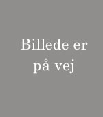 Billede er paa vej
